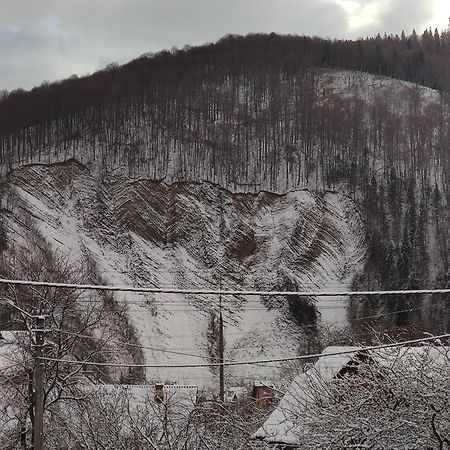 "У Пасічника" Котедж Для Сім'Ї Jaremtsche Exterior foto