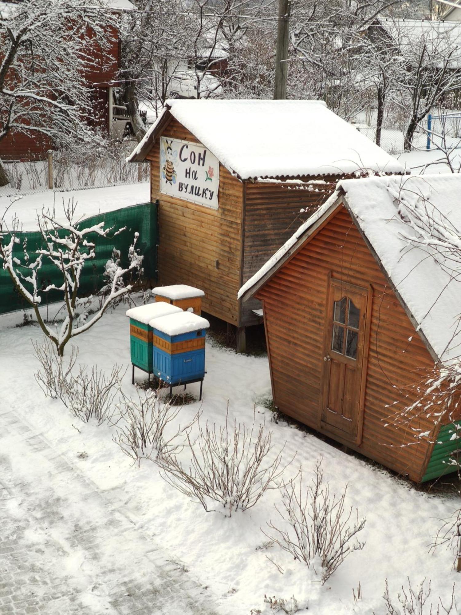 "У Пасічника" Котедж Для Сім'Ї Jaremtsche Exterior foto
