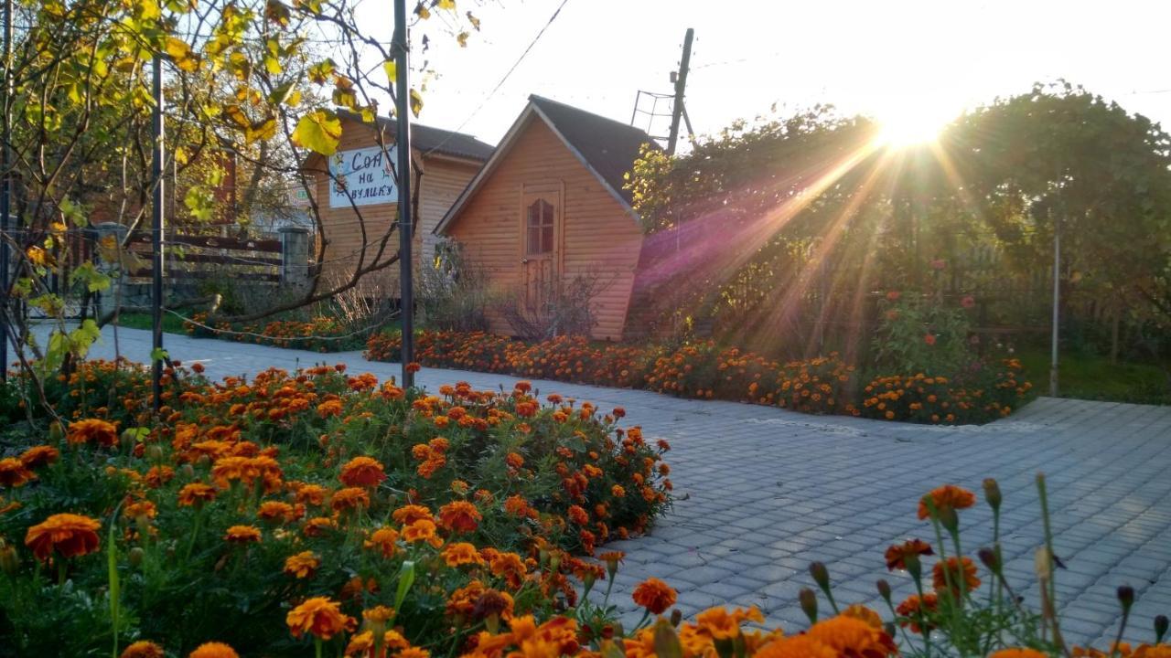 "У Пасічника" Котедж Для Сім'Ї Jaremtsche Exterior foto