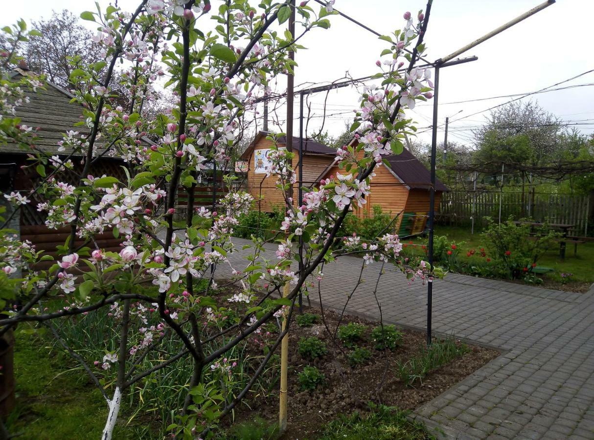"У Пасічника" Котедж Для Сім'Ї Jaremtsche Exterior foto