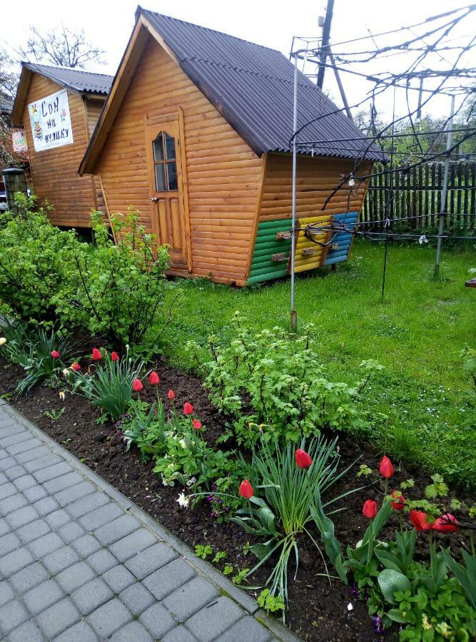 "У Пасічника" Котедж Для Сім'Ї Jaremtsche Exterior foto